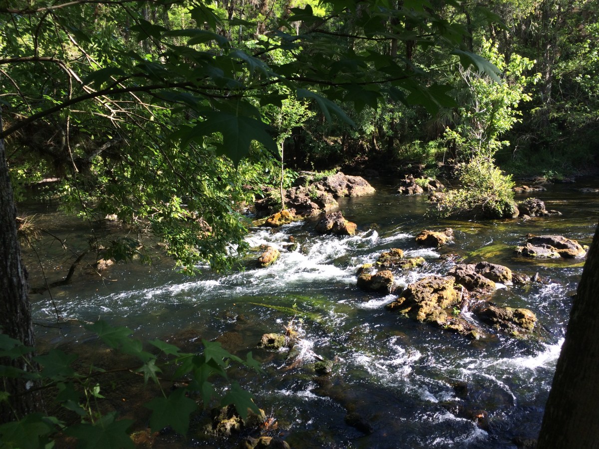 River of Inspiration