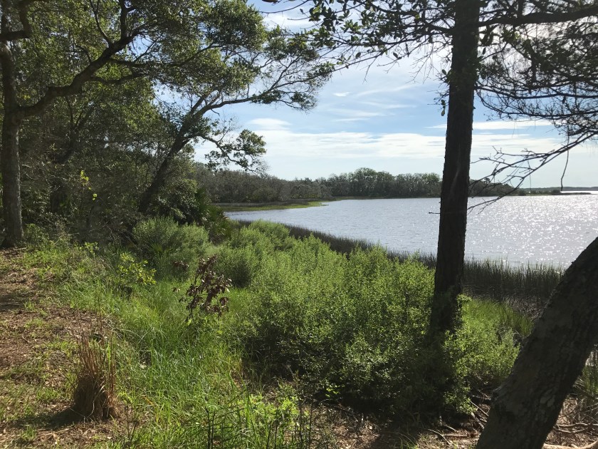 Faver-Dykes Trip 053