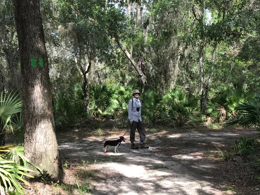 Faver-Dykes Trip 063