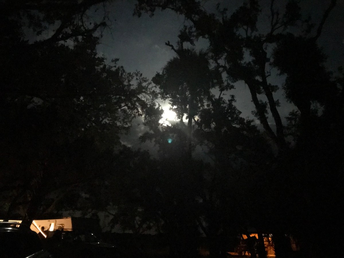 Going Dark at Kissimmee Prairie&nbsp;Preserve