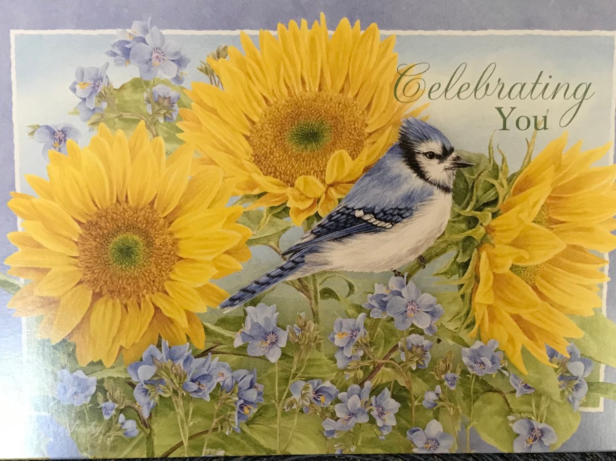 Always Be Celebrating