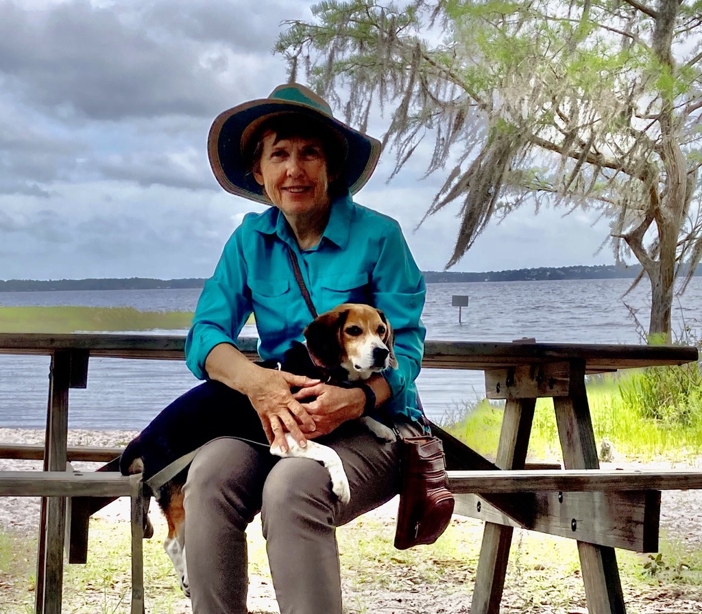 Our Escape to Lake&nbsp;Louisa