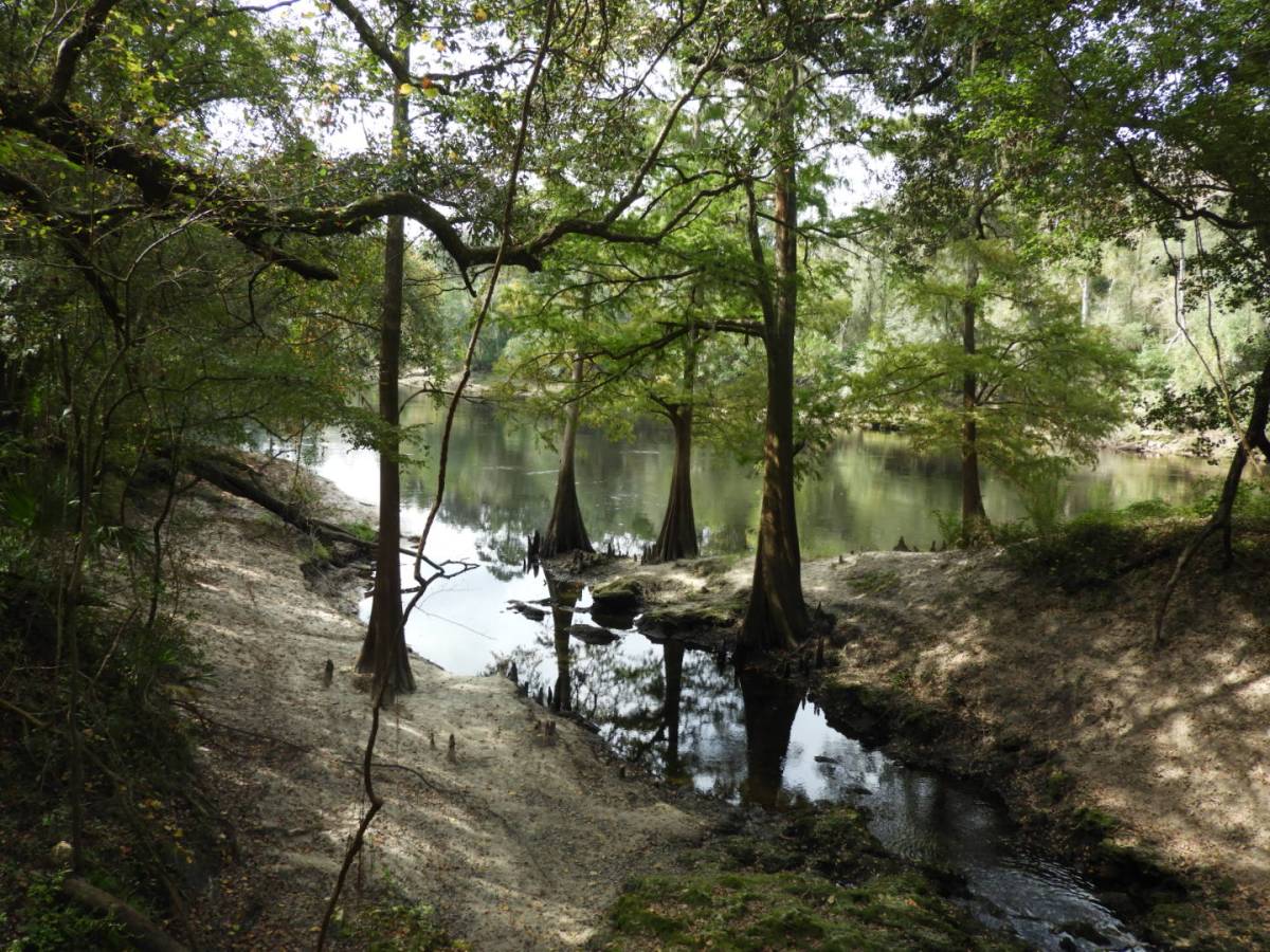 Doing Life in&nbsp;Suwannee