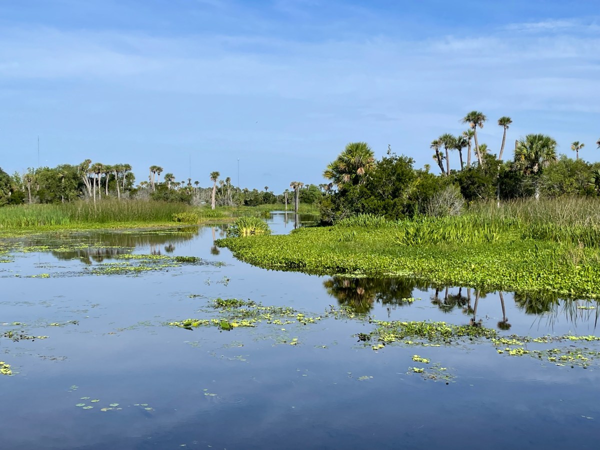 If You Build It—They Will&nbsp;Come.